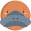 Platypus icon 64x64