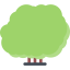 Bush icon 64x64