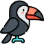 Toucan icône 64x64