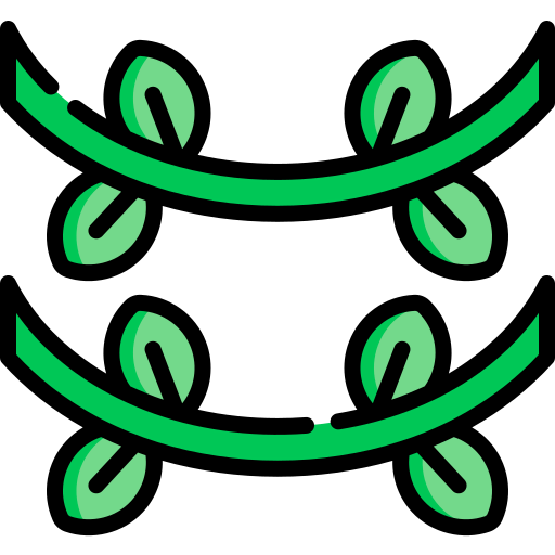 Vine icon
