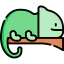 Chameleon icon 64x64