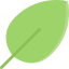 Leaf icon 64x64