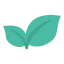 Leaves icon 64x64