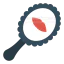 Hand mirror іконка 64x64