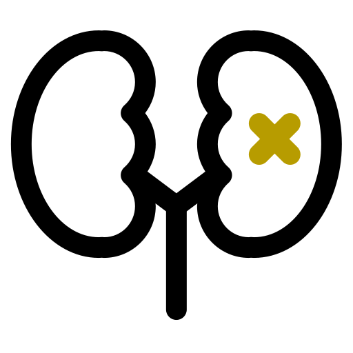 Kidney icon