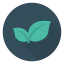 Leaves icon 64x64