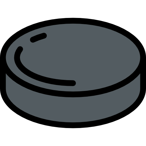 Puck icon