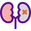 Kidney Symbol 64x64