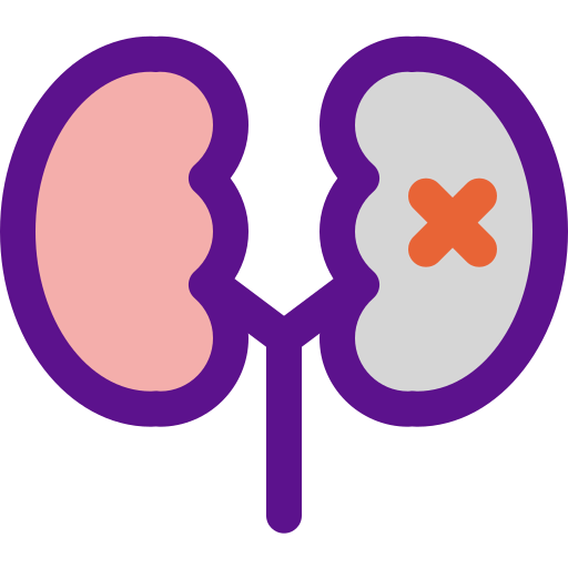 Kidney icon
