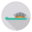 Hairbrush icon 64x64