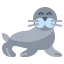Seal icon 64x64
