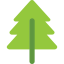 Pine tree icon 64x64