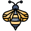 Bee icon 64x64
