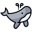 Whale icon 64x64