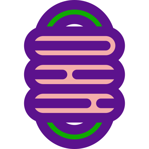 Rope icon