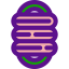 Rope icon 64x64