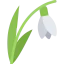 Daffodil icon 64x64