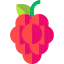 Grapes icon 64x64