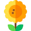 Sunflower icon 64x64