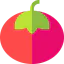 Tomato icon 64x64