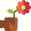 Flower icon 64x64