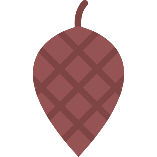 Pine nut icon