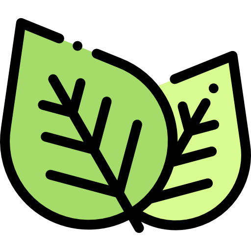 Leaf icône