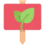 Sprout icon 64x64