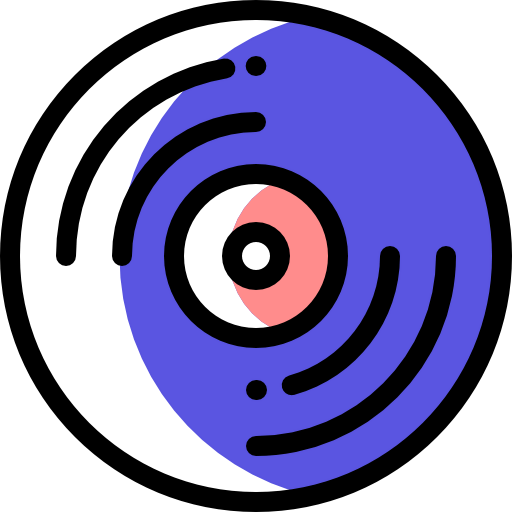 Record icon