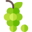Grapes icon 64x64