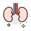 Kidneys Symbol 64x64