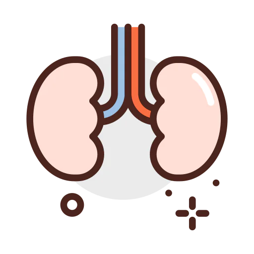 Kidneys icon