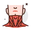 Neck icon 64x64