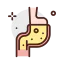 Stomach 상 64x64
