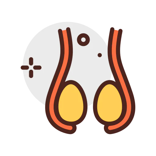Testicles icon