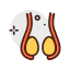 Testicles icon 64x64