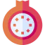 Pomegranate icon 64x64