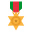 Star medal icon 64x64