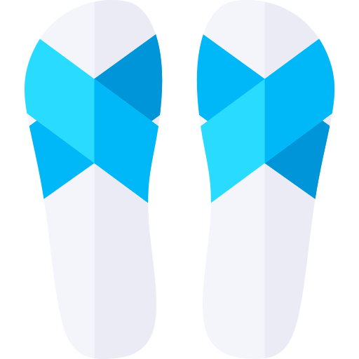 Flip flops icon