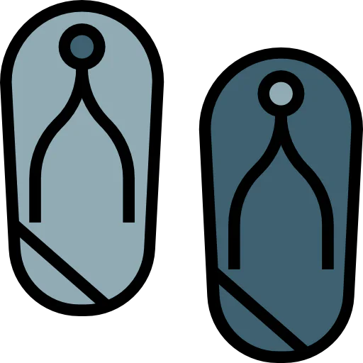 Flip flops icon