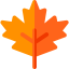 Maple leaf icon 64x64