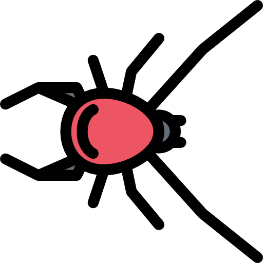 Spider icon