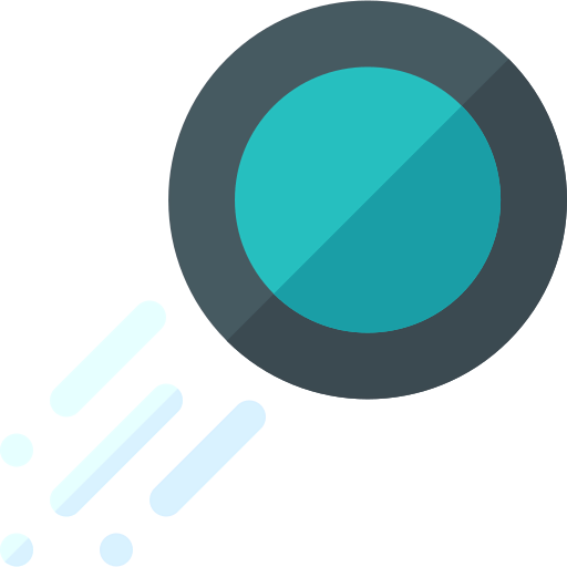 Puck icon
