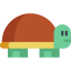 Turtle icon 64x64