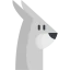 Rabbit icon 64x64