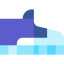 Footwear icon 64x64
