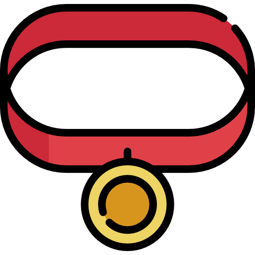 Collar icon