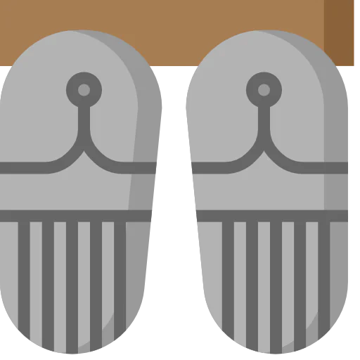 Flip flops icon