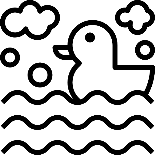 Ducks icon