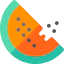 Watermelon icon 64x64